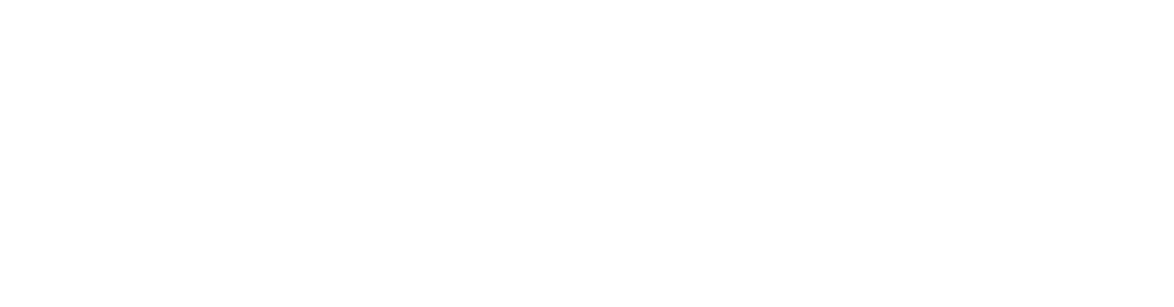 luxury hotels in istanbul white logo